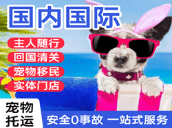 松原查干湖国际宠物托运 【国